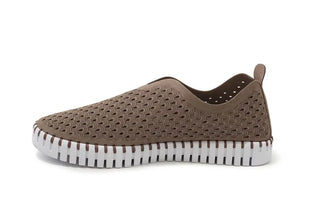 Slip on Tulip - Wheat