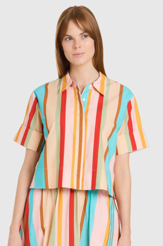 Club Shirt- Amberline Stripes