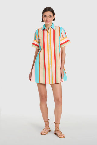Dock Dress- Amberline Stripes