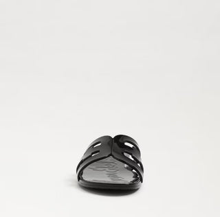 Bay Jelly- Black