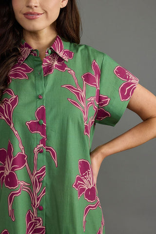 Jenny Dress- Verde Orchid