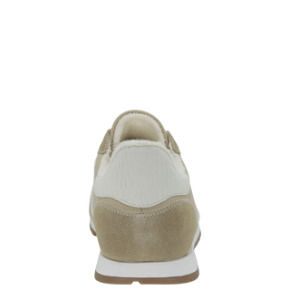 Asian Sneaker