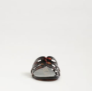 Bay Jelly- Tortoise