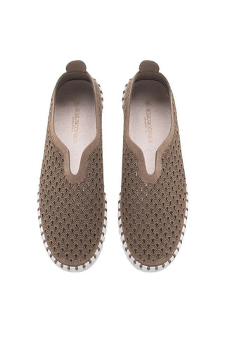 Slip on Tulip - Wheat