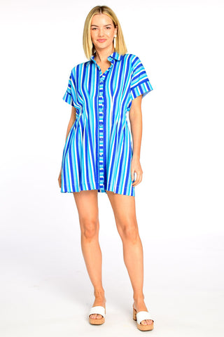 Hayes Mini Dress- Blue Stripe